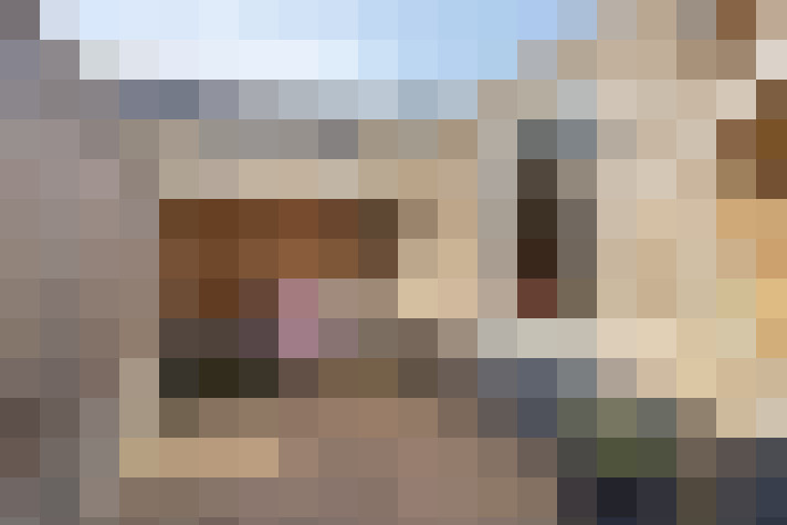  / #61