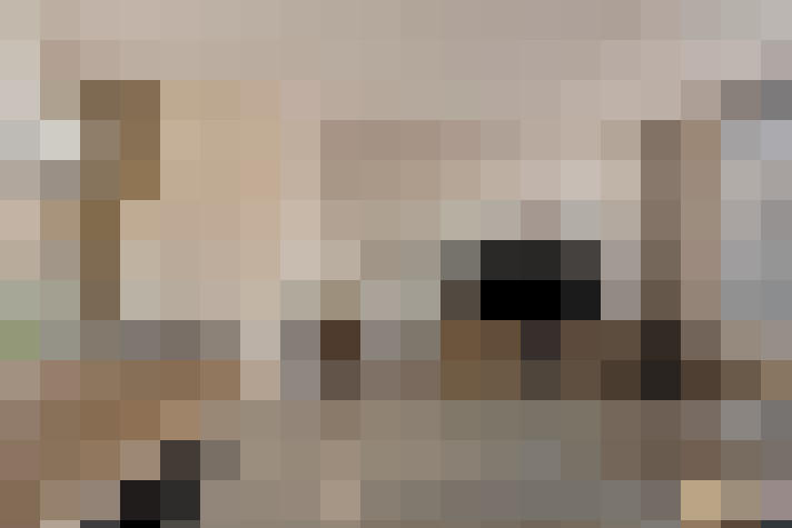  / #20