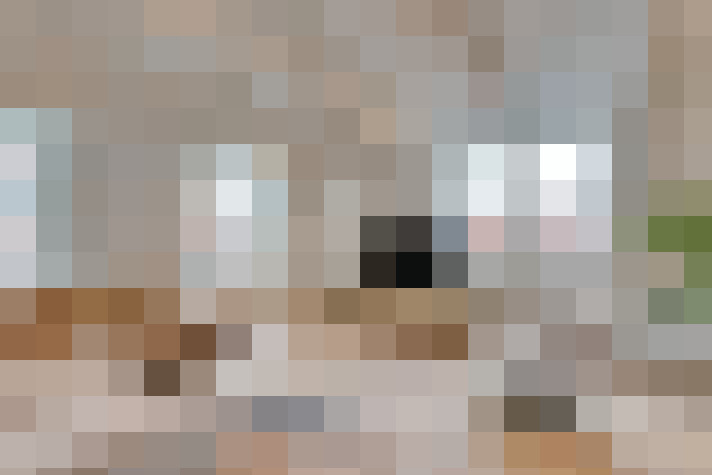  / #17