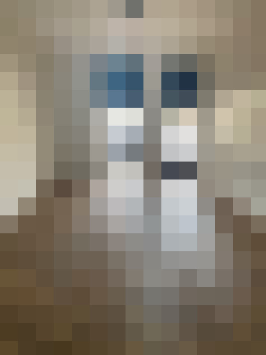  / #14