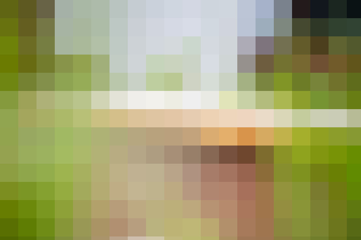  / #33