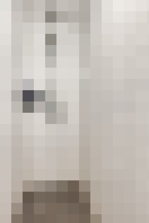  / #19