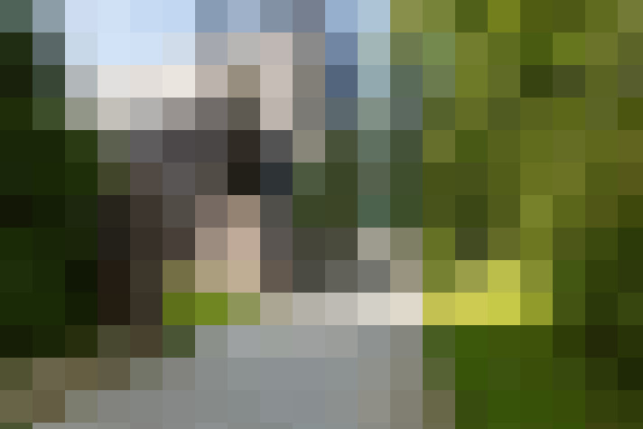  / #55