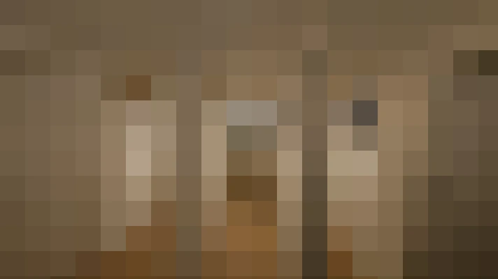  / #17
