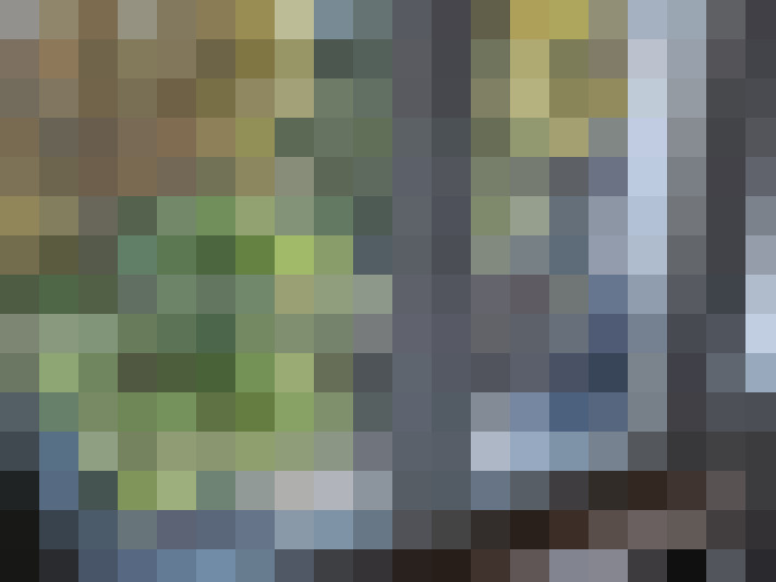 / #17