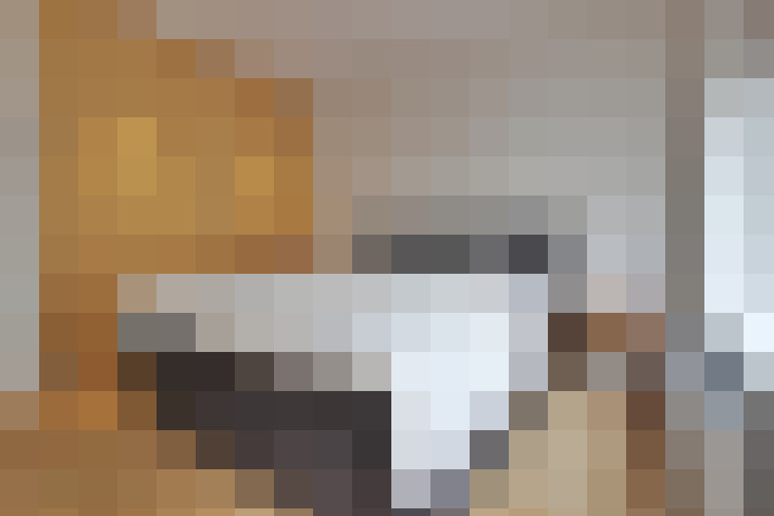  / #20