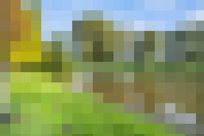  / #54