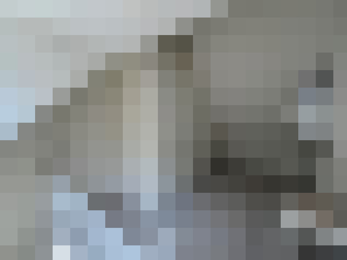  / #31