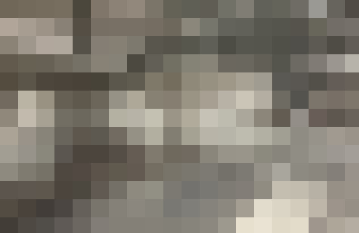  / #19
