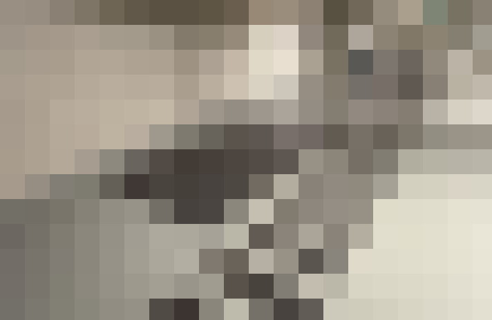 / #20