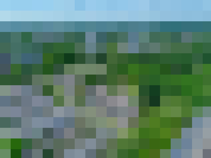  / #15
