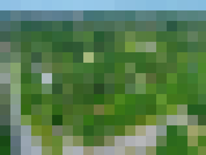  / #16
