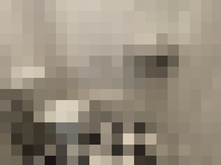  / #18