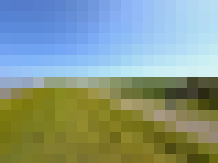  / #14