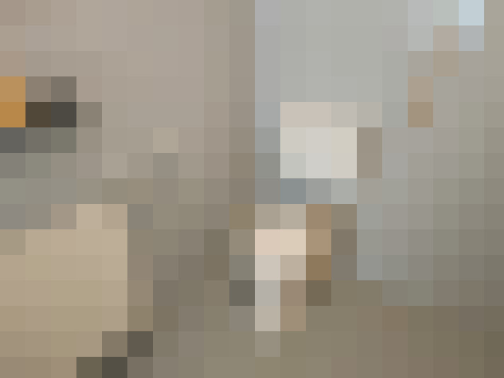  / #12