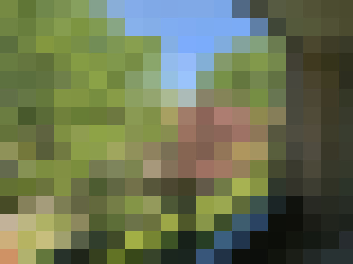  / #18