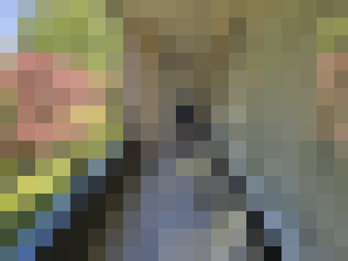  / #17
