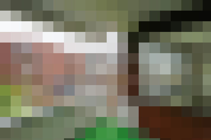  / #11