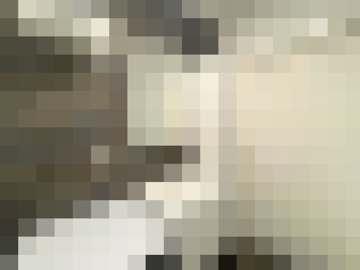  / #17