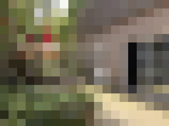  / #14