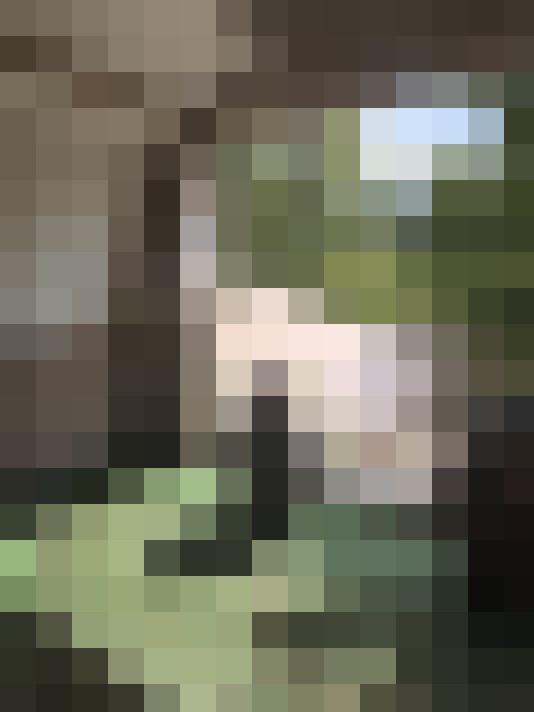  / #16