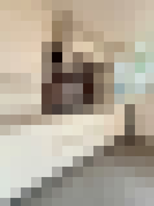  / #9