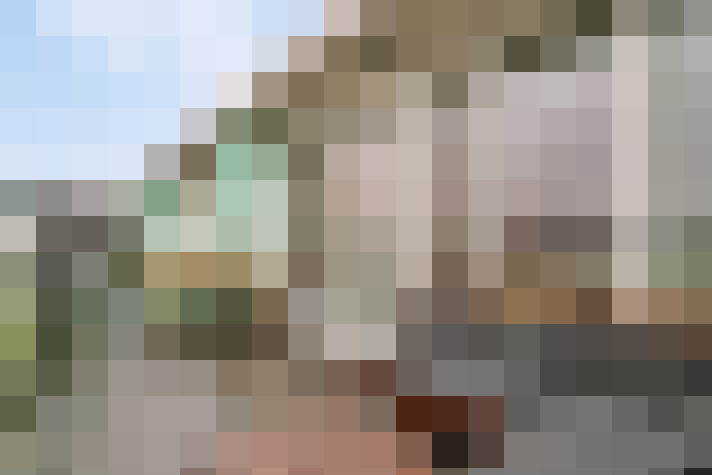  / #23