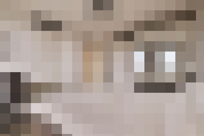  / #17