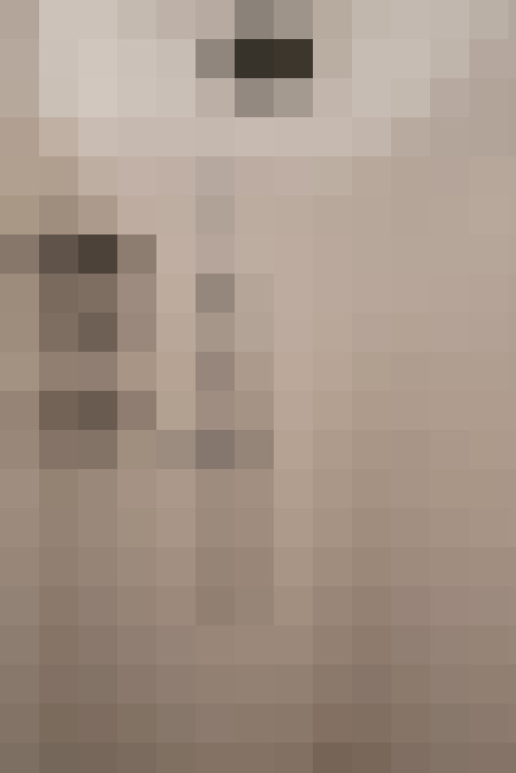  / #21