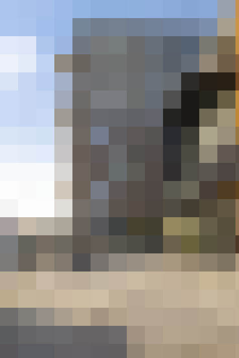  / #14