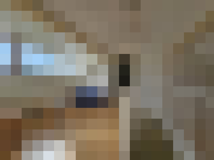  / #14