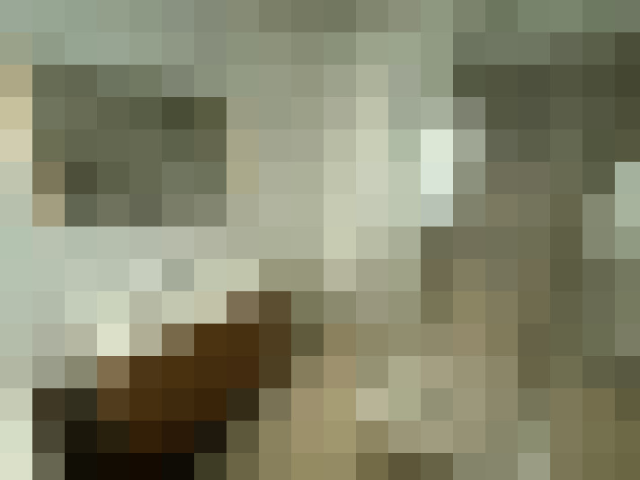  / #14