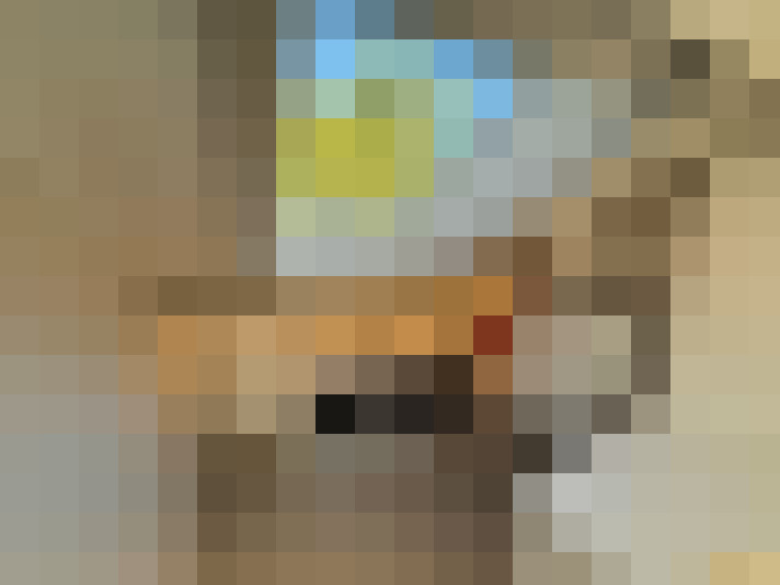  / #16