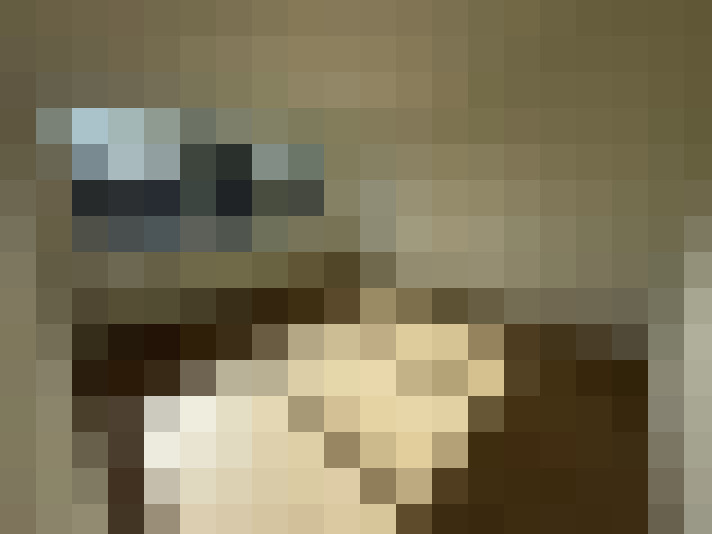  / #15