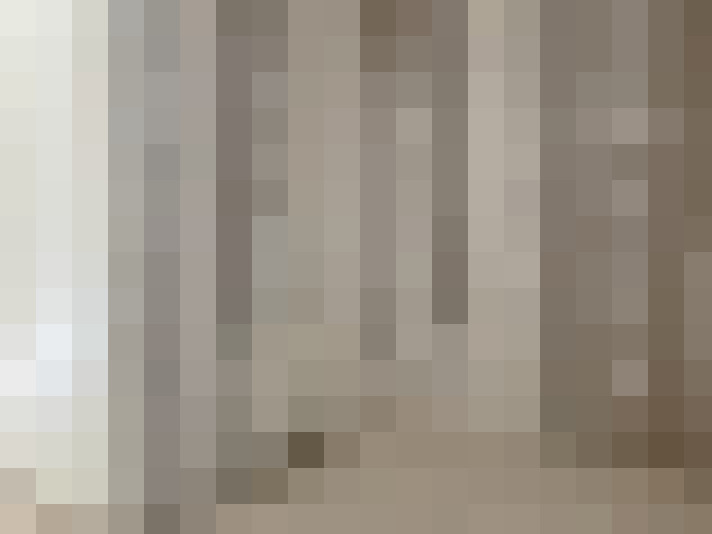  / #17