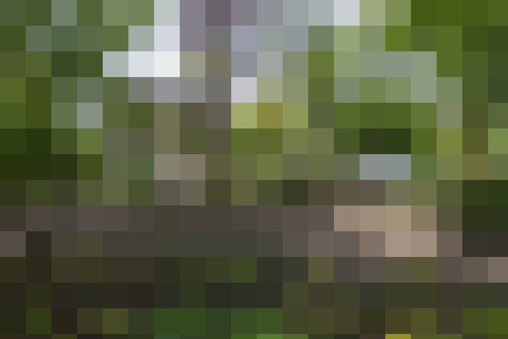  / #17