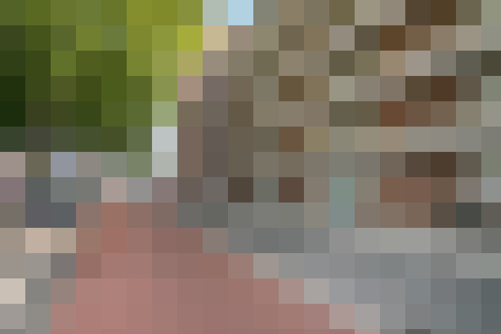  / #14