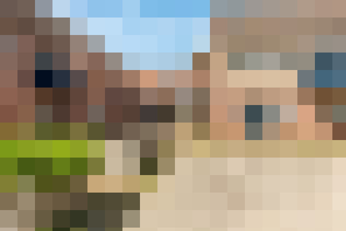  / #31