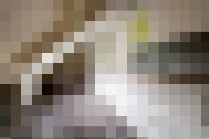  / #24