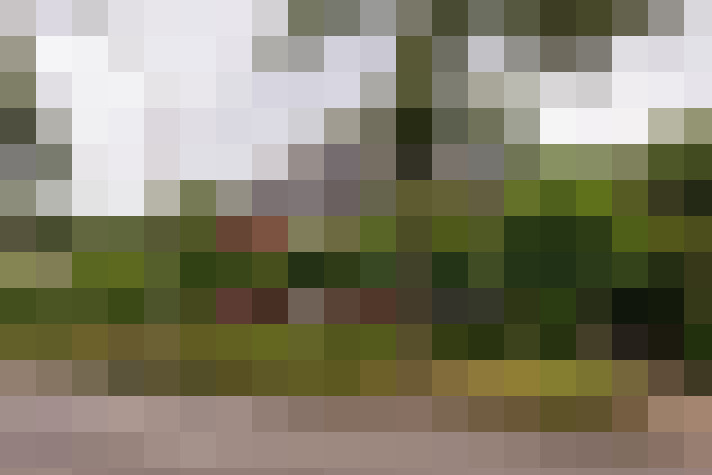  / #58