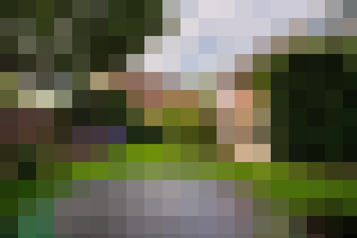  / #53