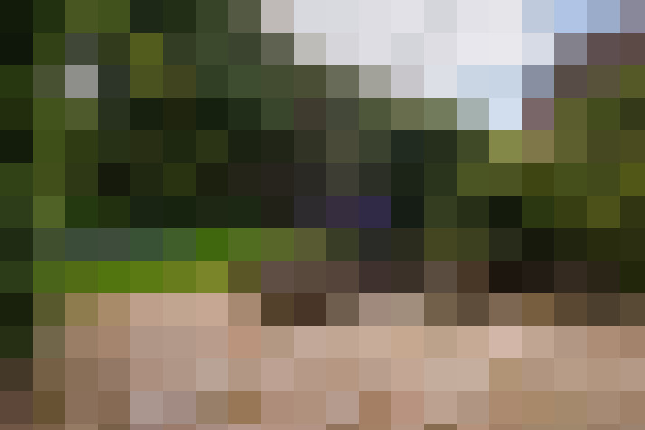  / #54