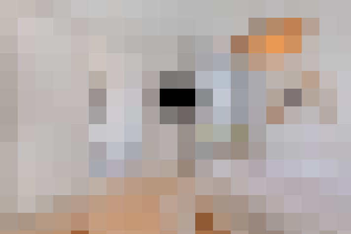 / #11