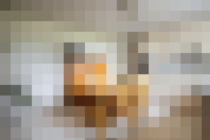  / #14