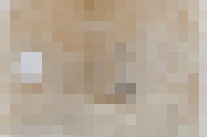  / #20