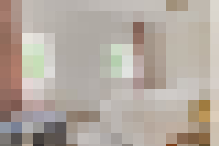  / #14