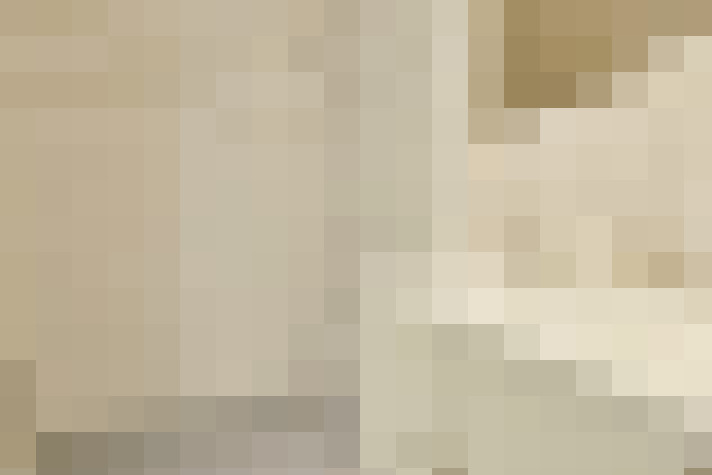  / #19