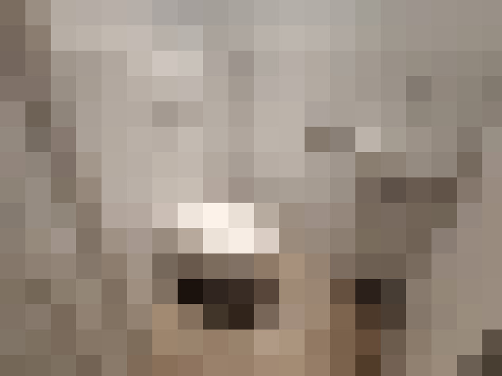  / #16