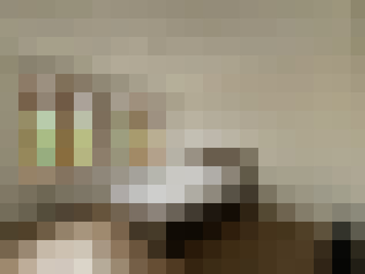  / #7