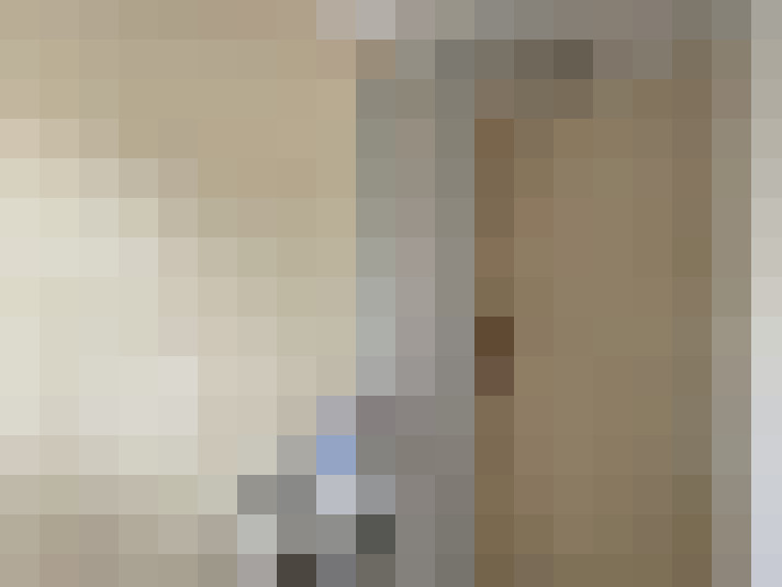  / #19